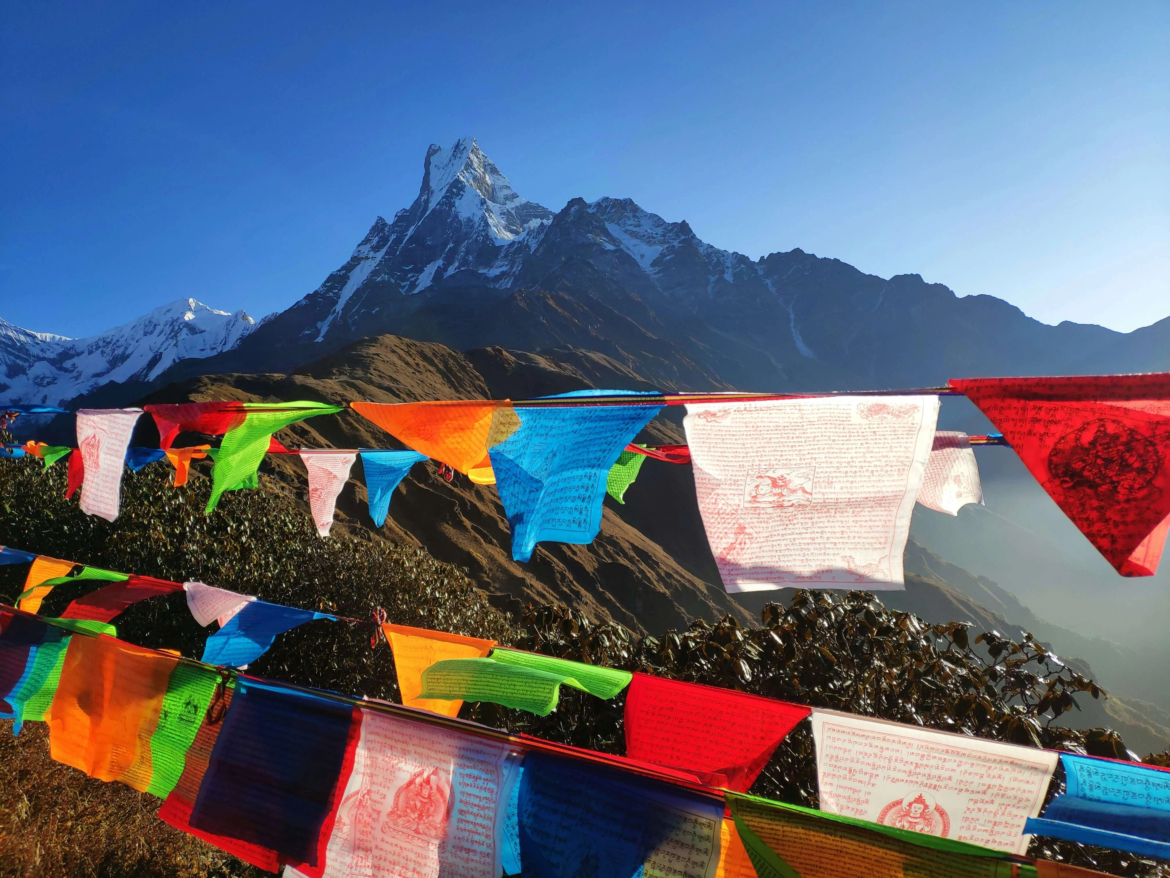 Top Things to Do in Bhutan: Culture, Nature & Adventure