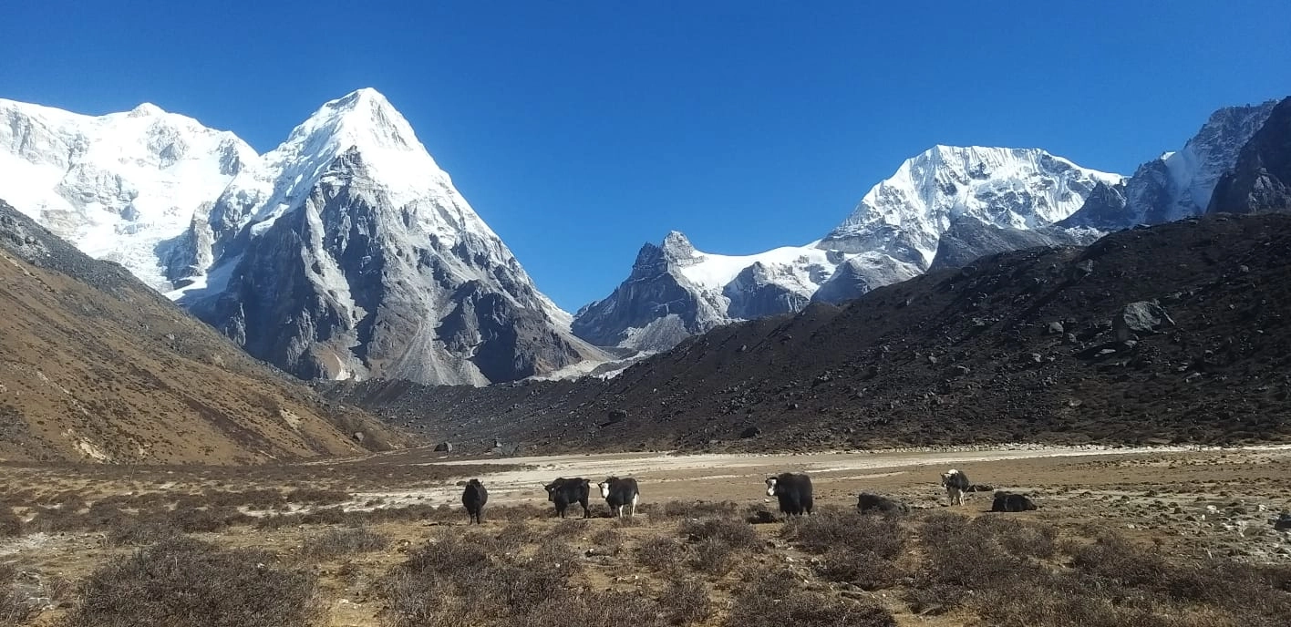 kanchanjunga trek